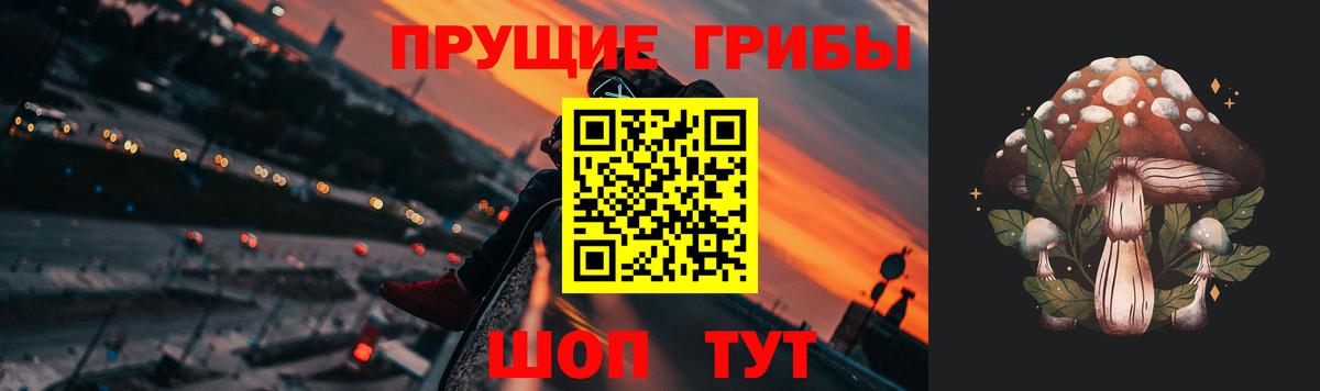 Псилоцибиновые грибы Psilocybine cubensis  Вход с VPN  Галлюциногенные грибы GOLDEN TEACHER  Малоярославец 